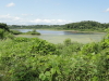 img0066.jpg