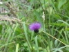 img0068.jpg