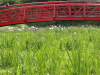 img0072.jpg