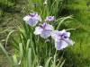 img0073.jpg