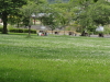 img0078.jpg