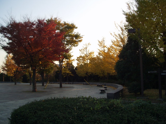 img0001.jpg