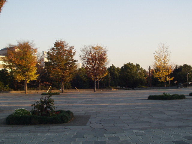 img0002.jpg