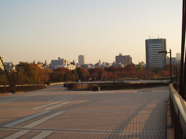 img0003.jpg