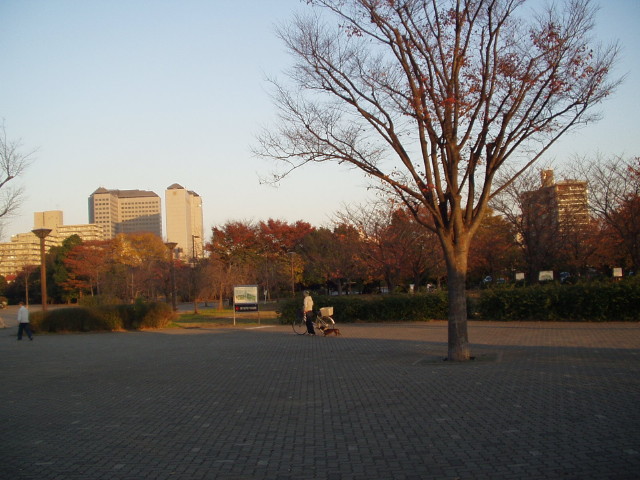 img0006.jpg