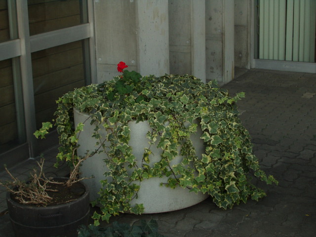 img0007.jpg
