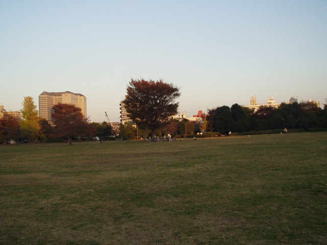 img0008.jpg