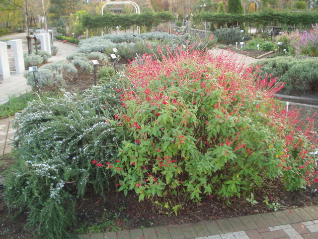 img0011.jpg