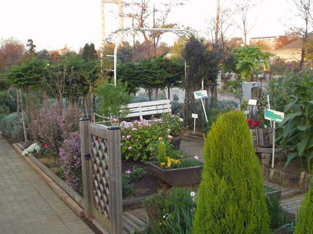 img0013.jpg