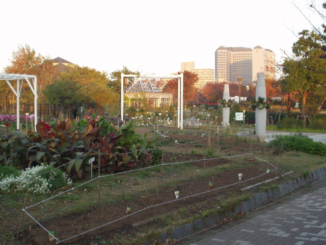 img0014.jpg