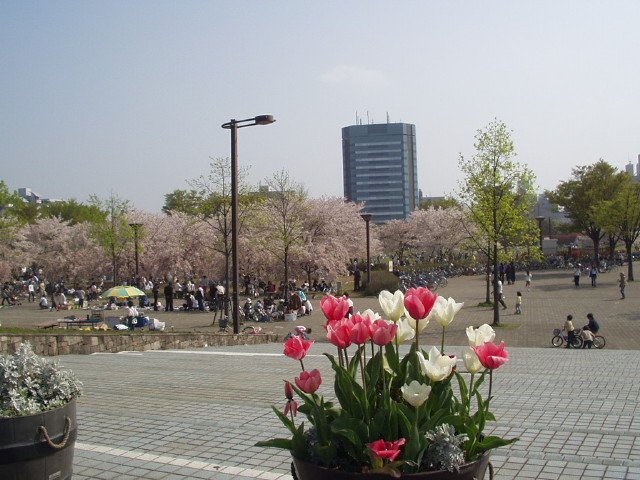 img0015.jpg