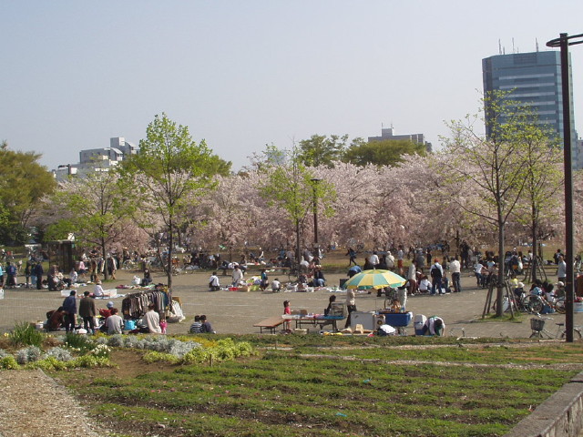 img0016.jpg