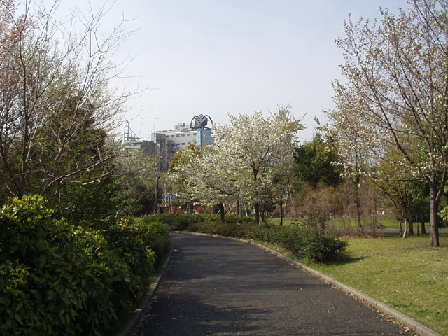 img0018.jpg