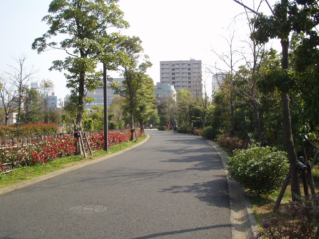 img0019.jpg