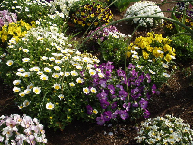 img0022.jpg