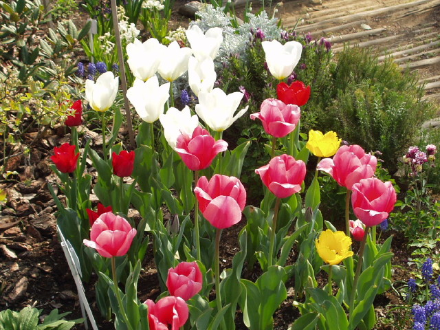 img0023.jpg