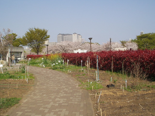 img0027.jpg