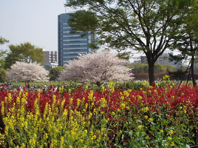 img0029.jpg