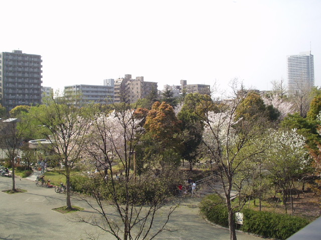 img0033.jpg