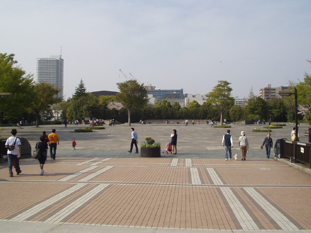 img0035.jpg