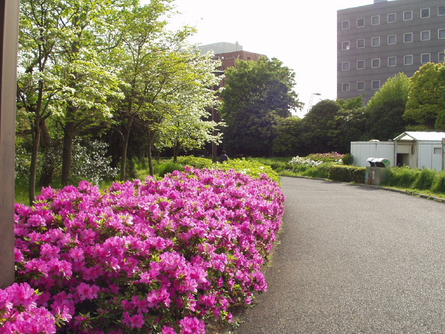 img0036.jpg
