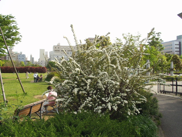 img0040.jpg