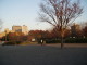 img0006.jpg