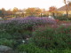 img0012.jpg