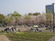 img0016.jpg
