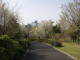 img0018.jpg