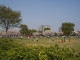 img0020.jpg