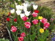 img0023.jpg