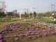 img0025.jpg