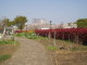 img0027.jpg