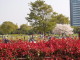 img0028.jpg