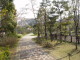 img0030.jpg