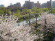 img0032.jpg