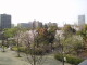 img0033.jpg