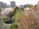 img0034.jpg