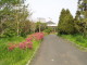 img0037.jpg