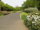 img0038.jpg