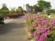 img0039.jpg