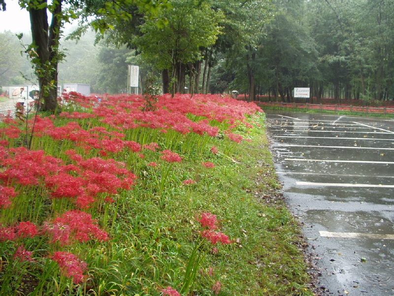 img0000.jpg