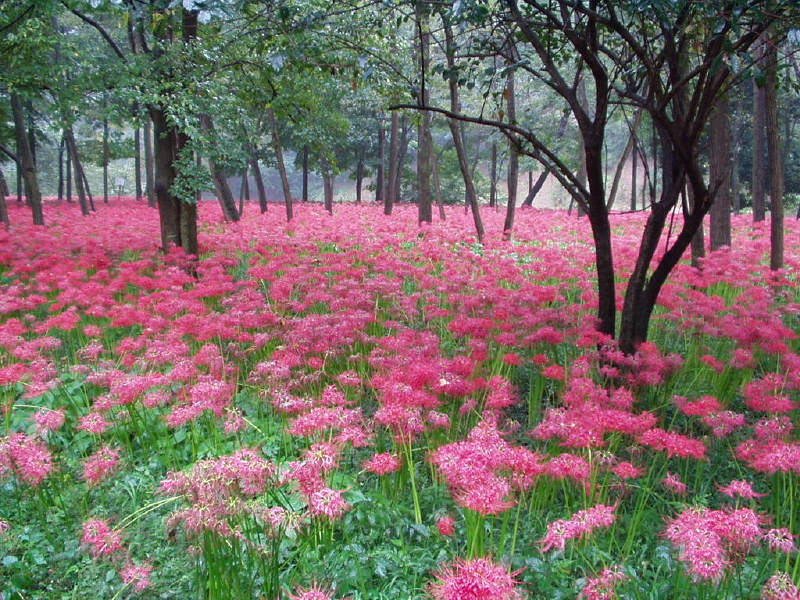 img0002.jpg