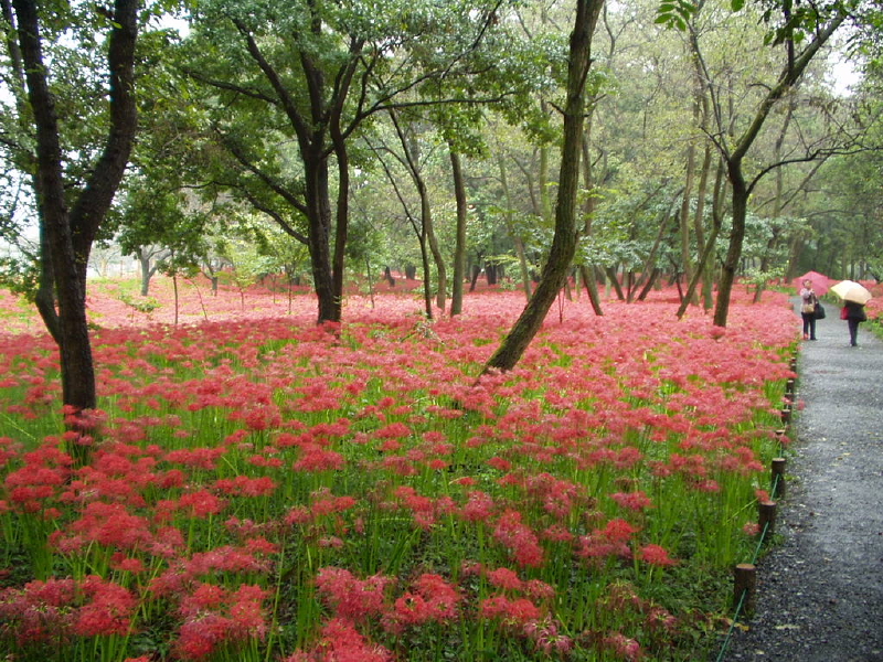 img0003.jpg