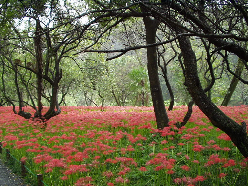 img0004.jpg