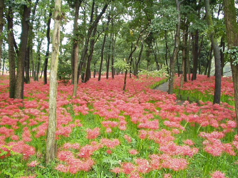 img0005.jpg