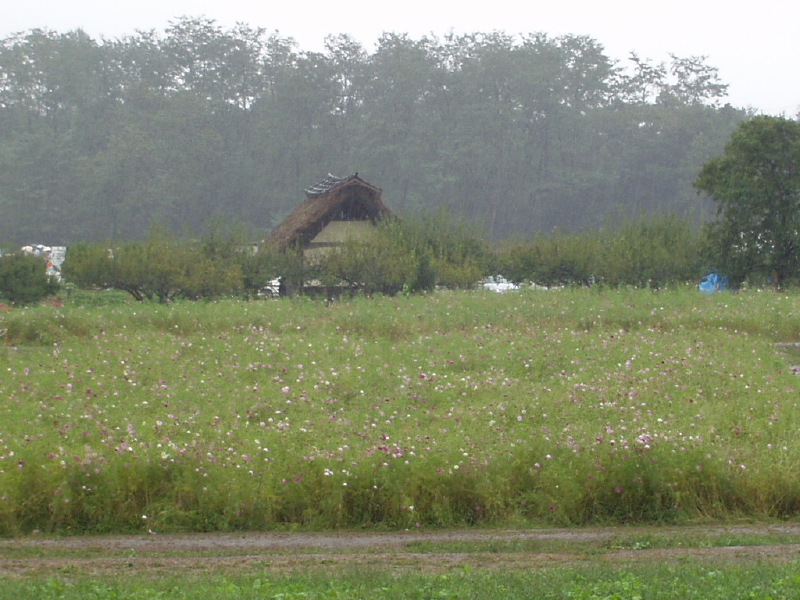 img0008.jpg