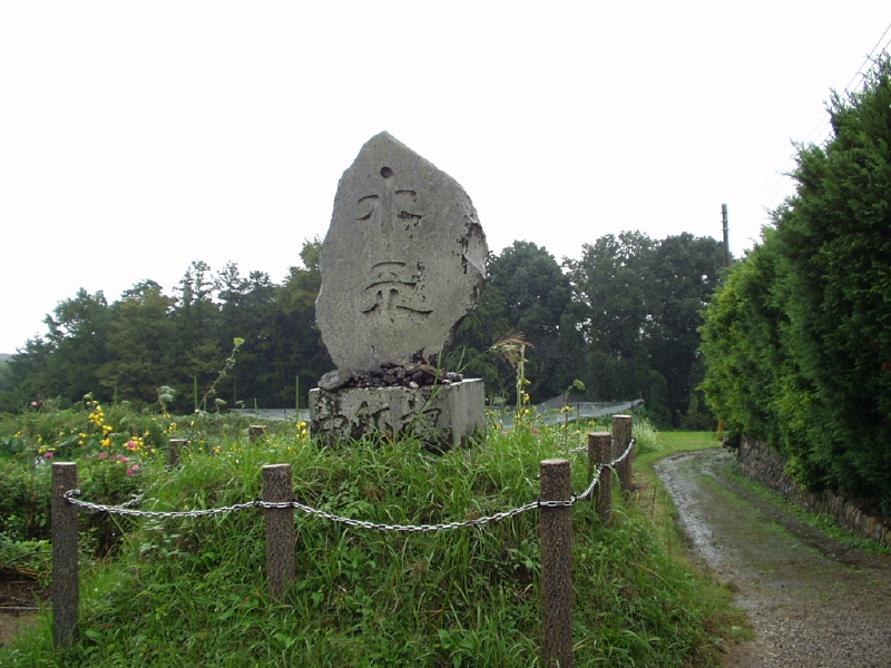 img0010.jpg