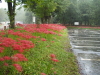 img0000.jpg